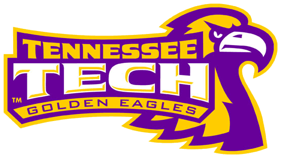 Tennessee Tech Golden Eagles 2006-Pres Alternate Logo t shirts iron on transfers v3